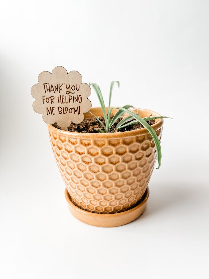 Teacher Appreciation Gift | Teacher Plant Stake | Teacher Gift | End of Year Teacher Gift