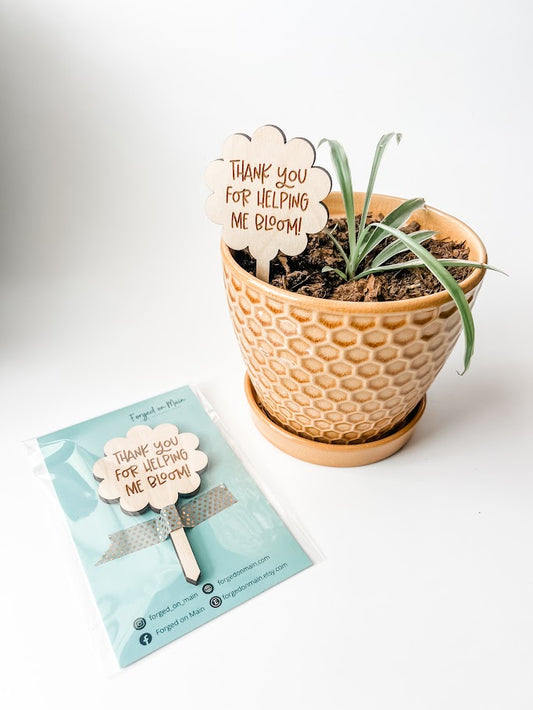 Teacher Appreciation Gift | Teacher Plant Stake | Teacher Gift | End of Year Teacher Gift