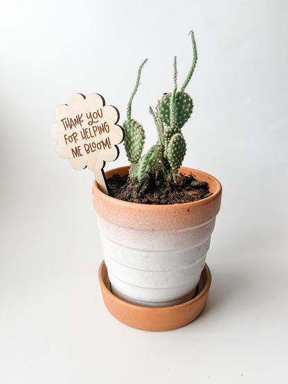 teacher appreciation succulent plant Teacher Appreciation Plant Stake: "Thank You For Helping Me Bloom!"