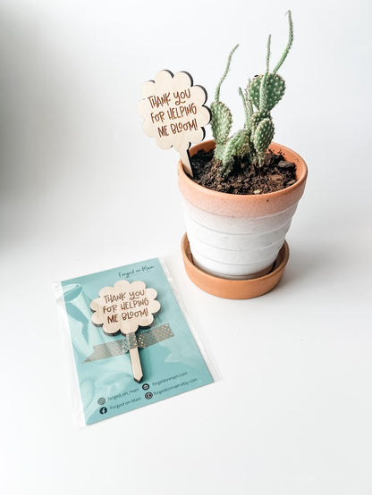 Teacher Appreciation Gift | Teacher Plant Stake | Teacher Gift | End of Year Teacher Gift